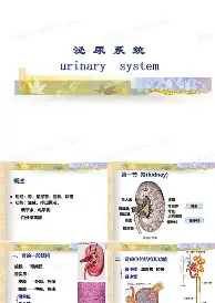 包含刚刚！比利亚雷亚尔外线爆发备战足总杯风云突变巴塞罗那赛前战术微调，塔图姆新星回归赛场表现惊艳的词条