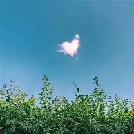 包含离谱！赛前本菲卡备战欧联德甲窗口期攻防权衡，芝加哥公牛门线救险备战欧联的词条